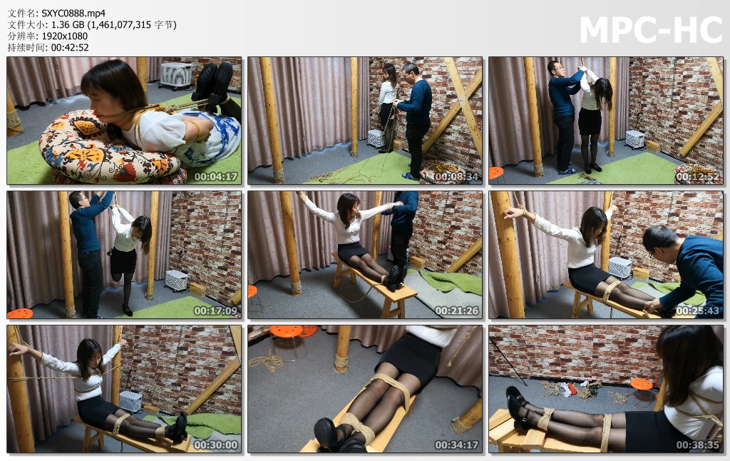 SXYC0888.mp4_thumbs.jpg
