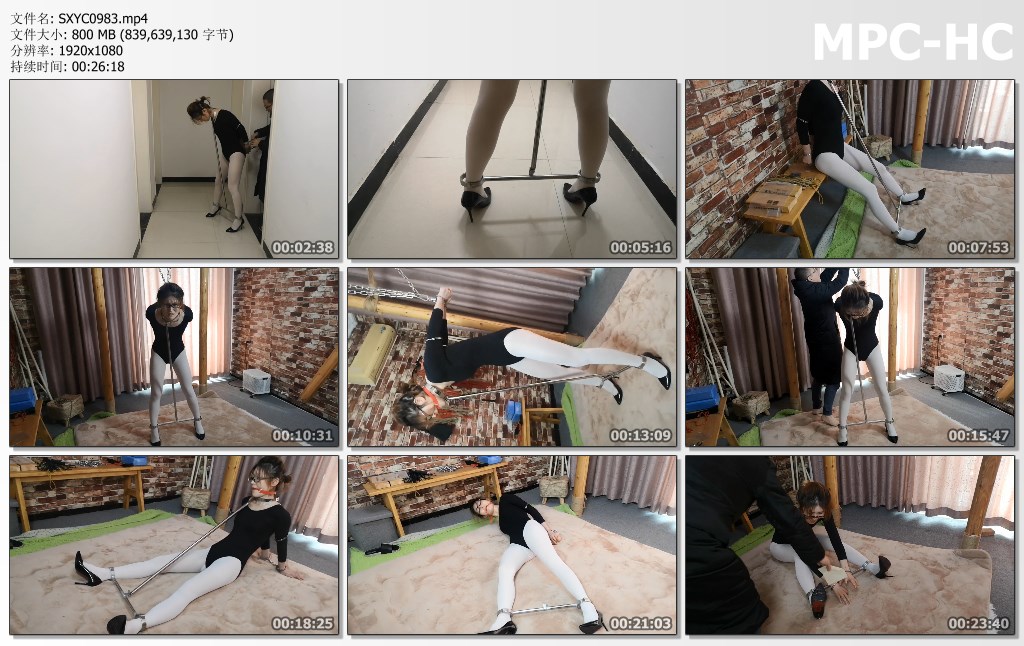 SXYC0983.mp4_thumbs.jpg