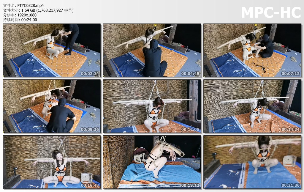 FTYC0328.mp4_thumbs.jpg