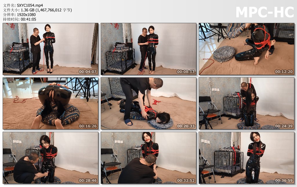 SXYC1054.mp4_thumbs.jpg