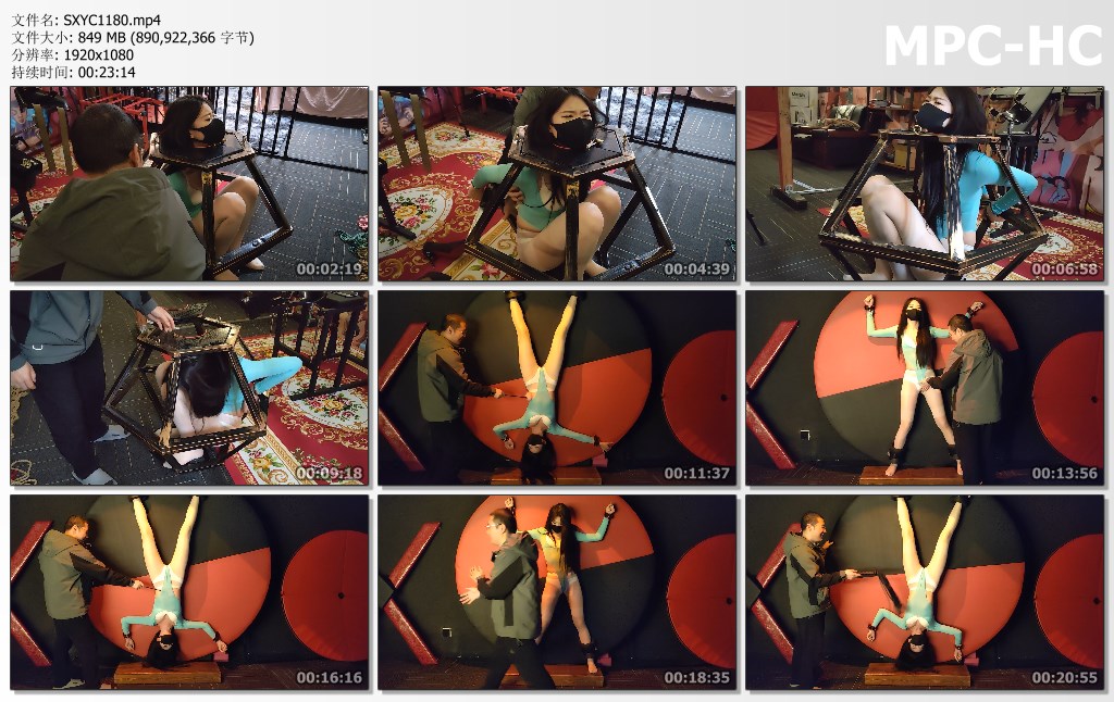 SXYC1180.mp4_thumbs.jpg