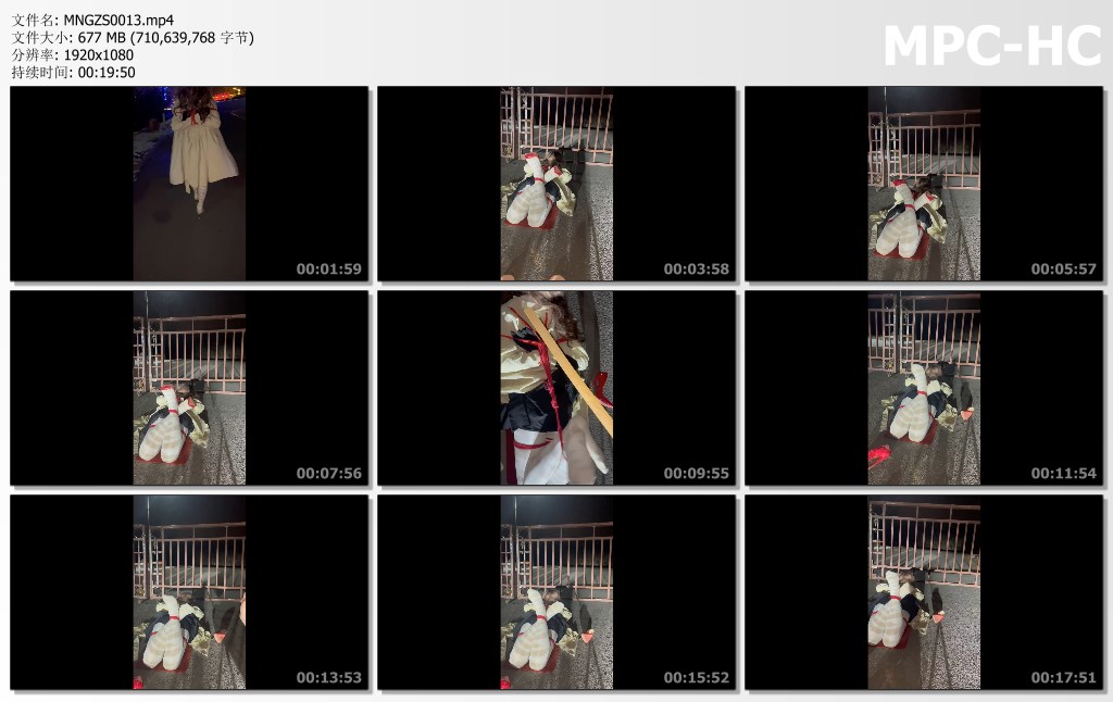 MNGZS0013.mp4_thumbs.jpg
