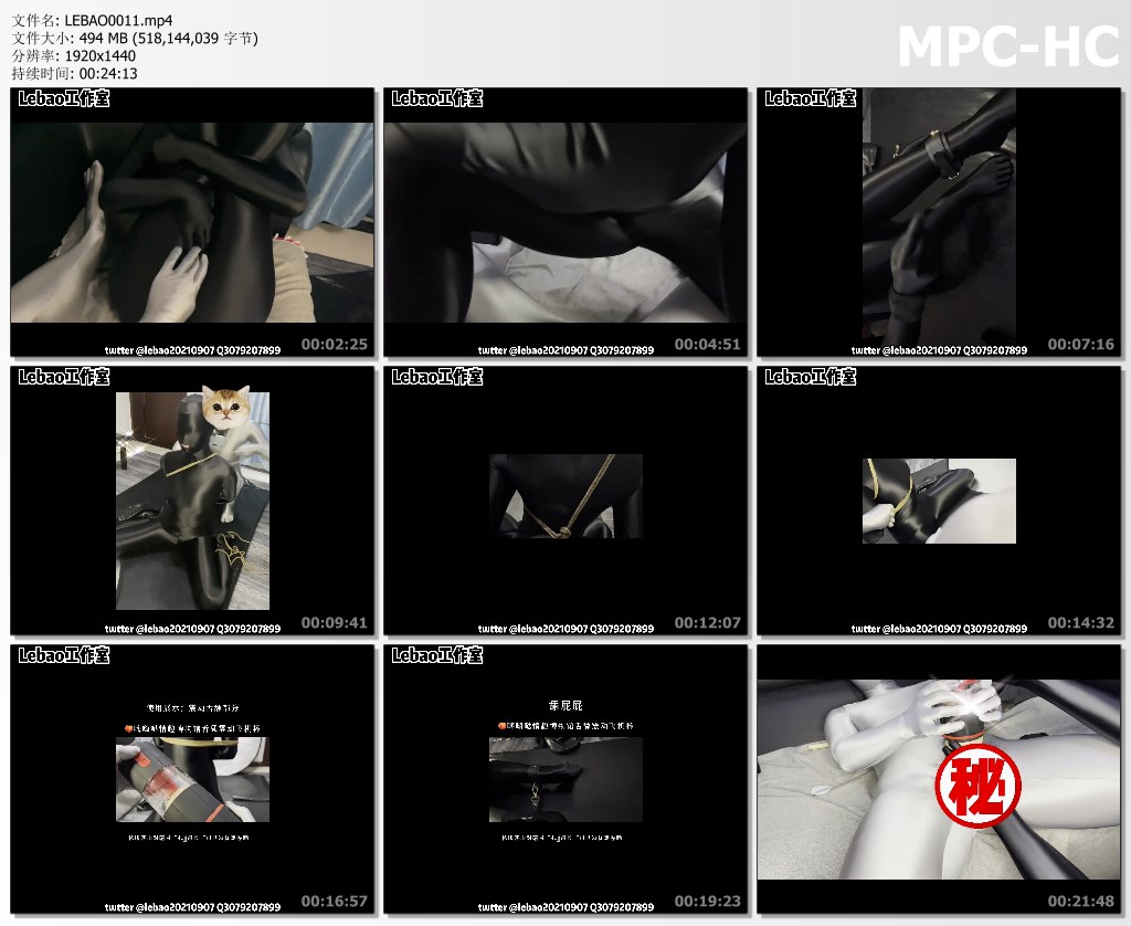 LEBAO0011.mp4_thumbs.jpg
