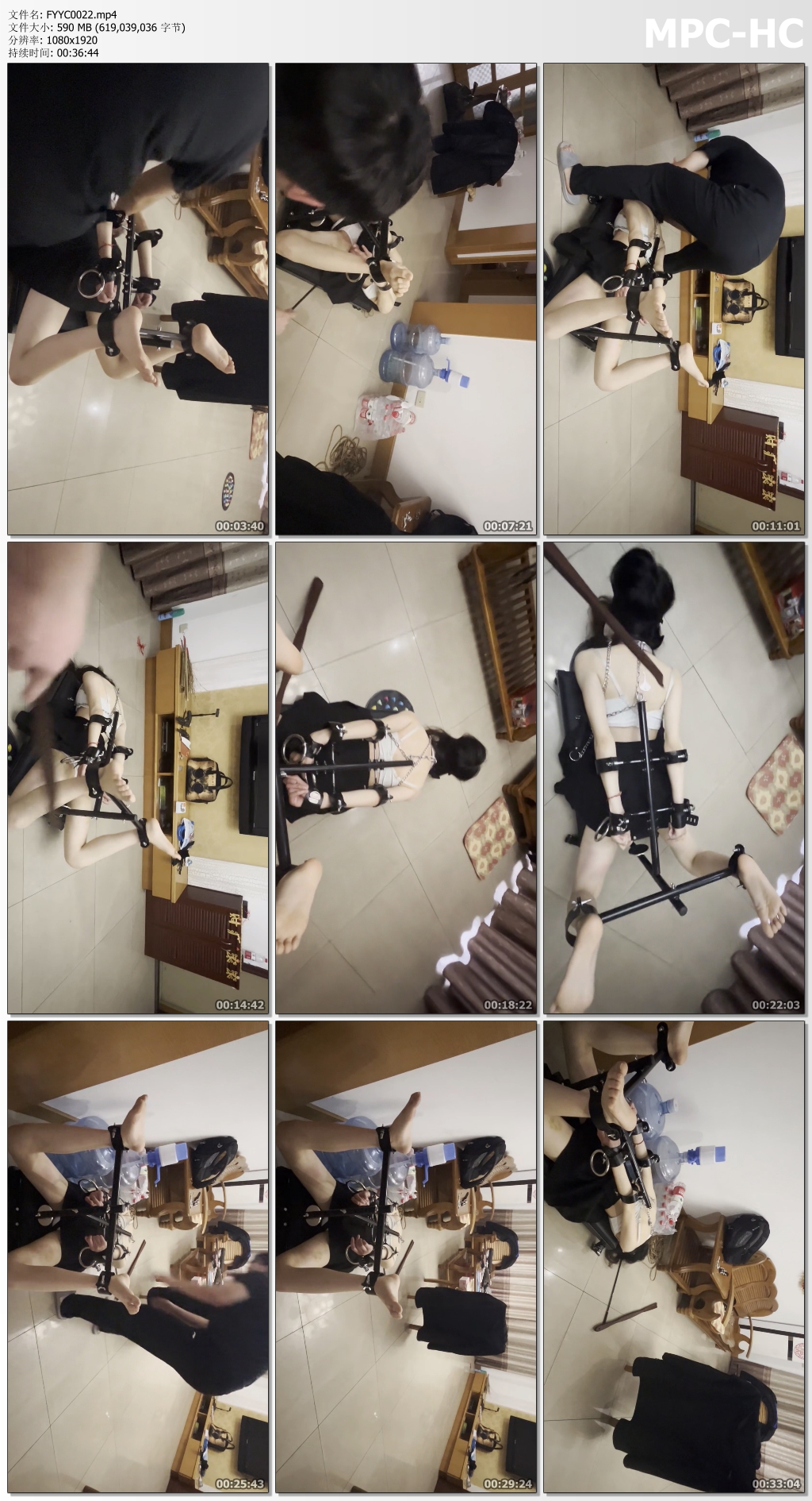 FYYC0022.mp4_thumbs.jpg