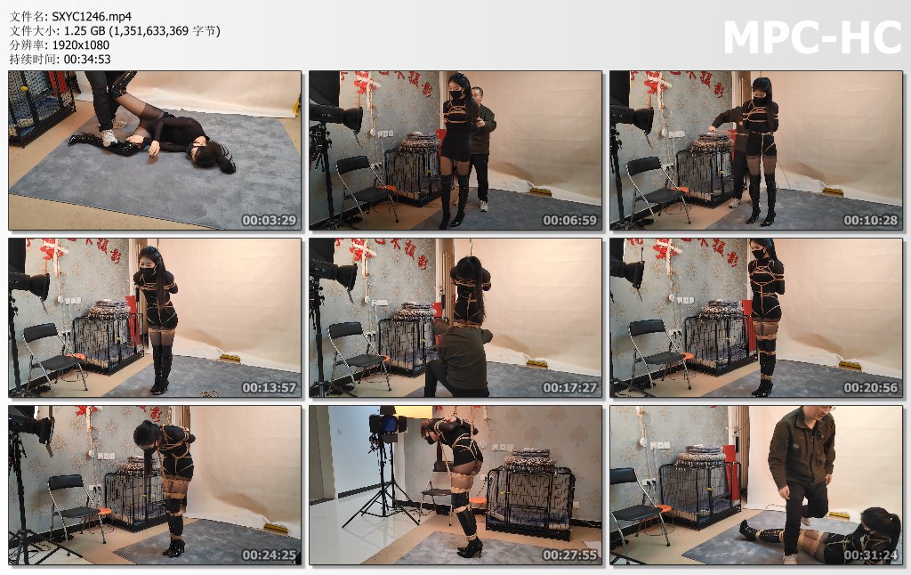 SXYC1246.mp4_thumbs.jpg