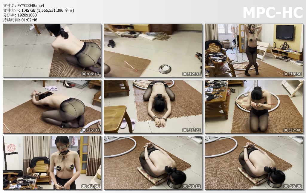 FYYC0048.mp4_thumbs.jpg