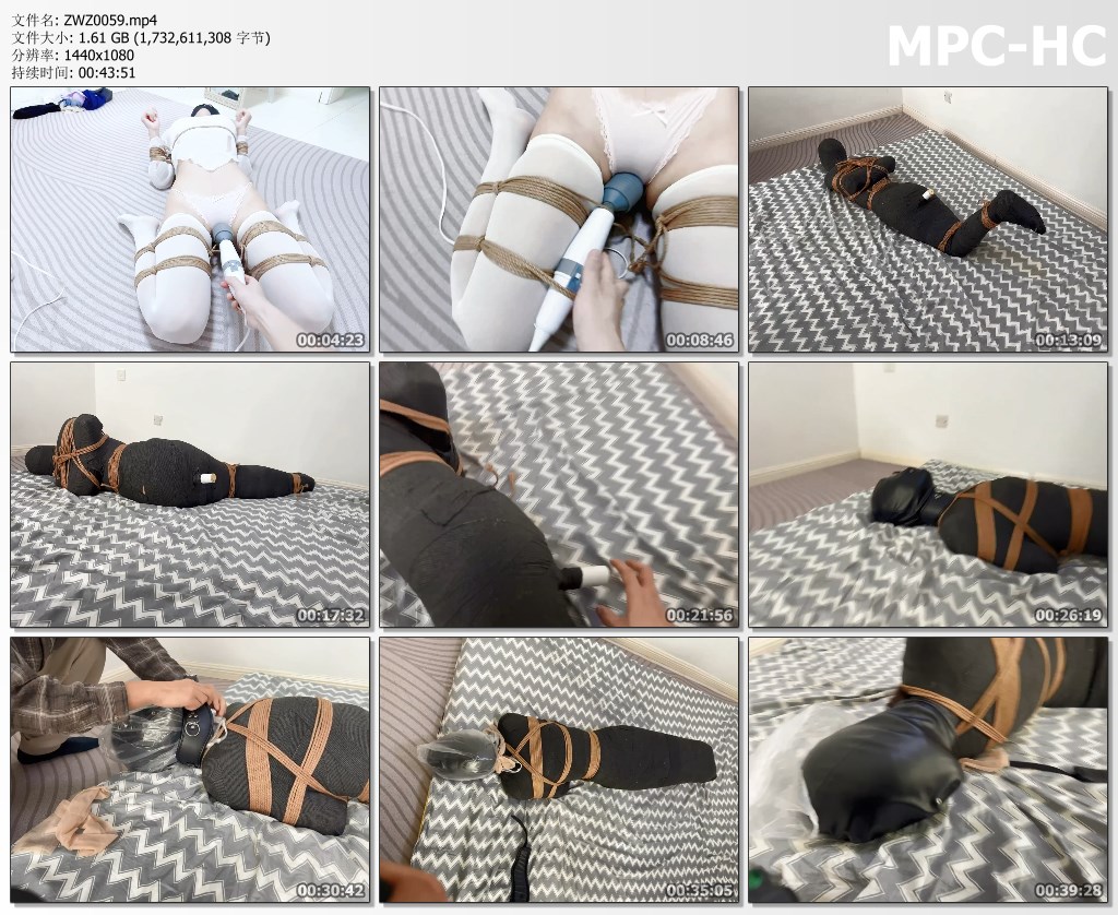 ZWZ0059.mp4_thumbs.jpg