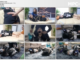 逍遥工作室_特务支援科终章·下
