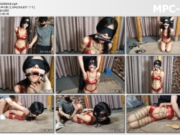 意之窗工作室_汤圆 红胶衣 各种口球嘟嘴 驷马吊