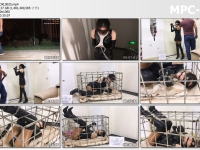 手指间的旋律_旋律与金属01 暗夜游侠 上集