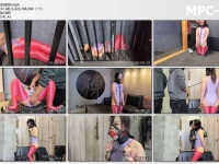 雨辰工作室_秘书系列第三部 圈养生活 口球 木马 项圈 镣铐 关押 监禁 电击 K9 强G