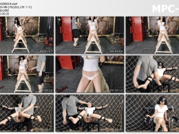 意之窗工作室_汤圆 性感胶衣 双环口珈滴柠檬 直臂骑木马