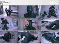 闪闪工作室_【泉蜜蜂】黑曼巴+人形犬装备 与蛇皮狗狗午后玩耍