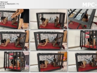 涵涵特辑_旗袍黑丝 K9狗笼固定 炮J高C