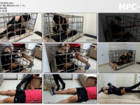 手指间的旋律_旋律与金属02 暗夜游侠 下集
